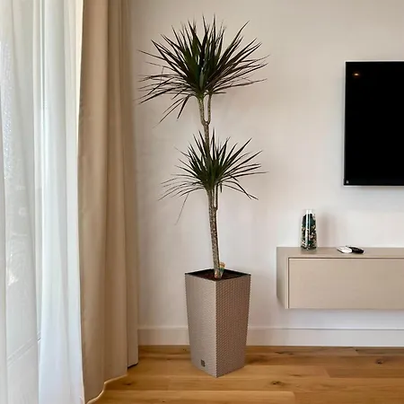 Appartement No 401 Lebada *